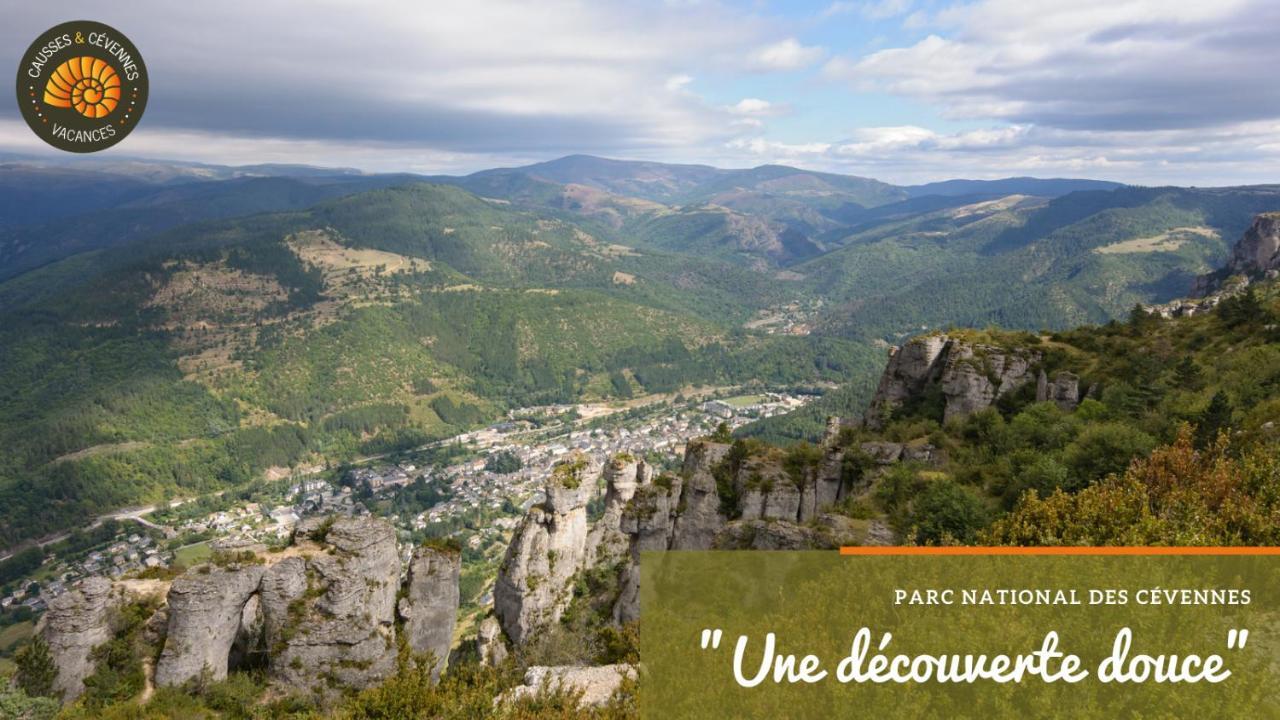 Alberguiere - Piscine Chauffee - Plancha - Barbecue Sainte-Croix-Vallee-Francaise Dış mekan fotoğraf
